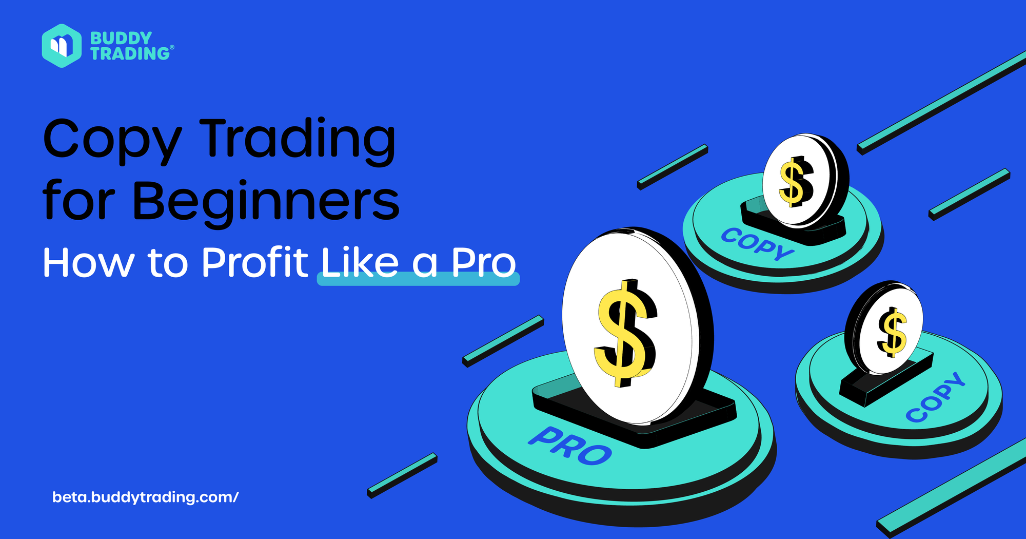Copy Trading for Beginners: How to Profit Like a Pro